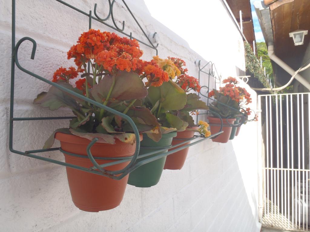 Homestay Sp Zona Sul
